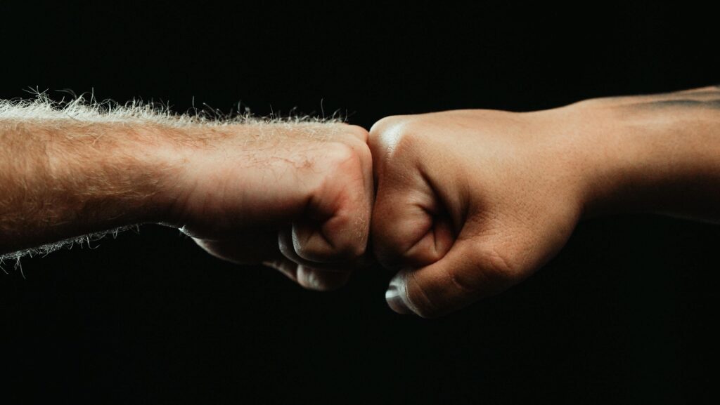 A close-up of two diverse fists bumping, symbolizing unity and partnership.